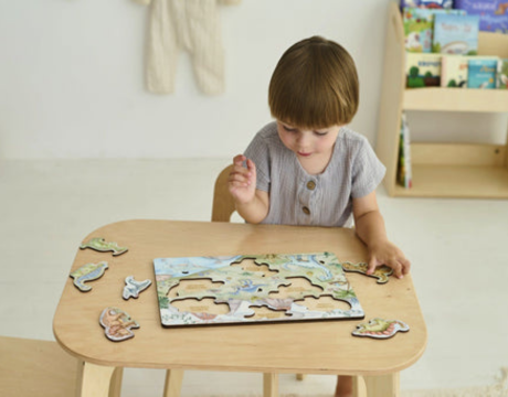 WonderWorld Puzzles Collection