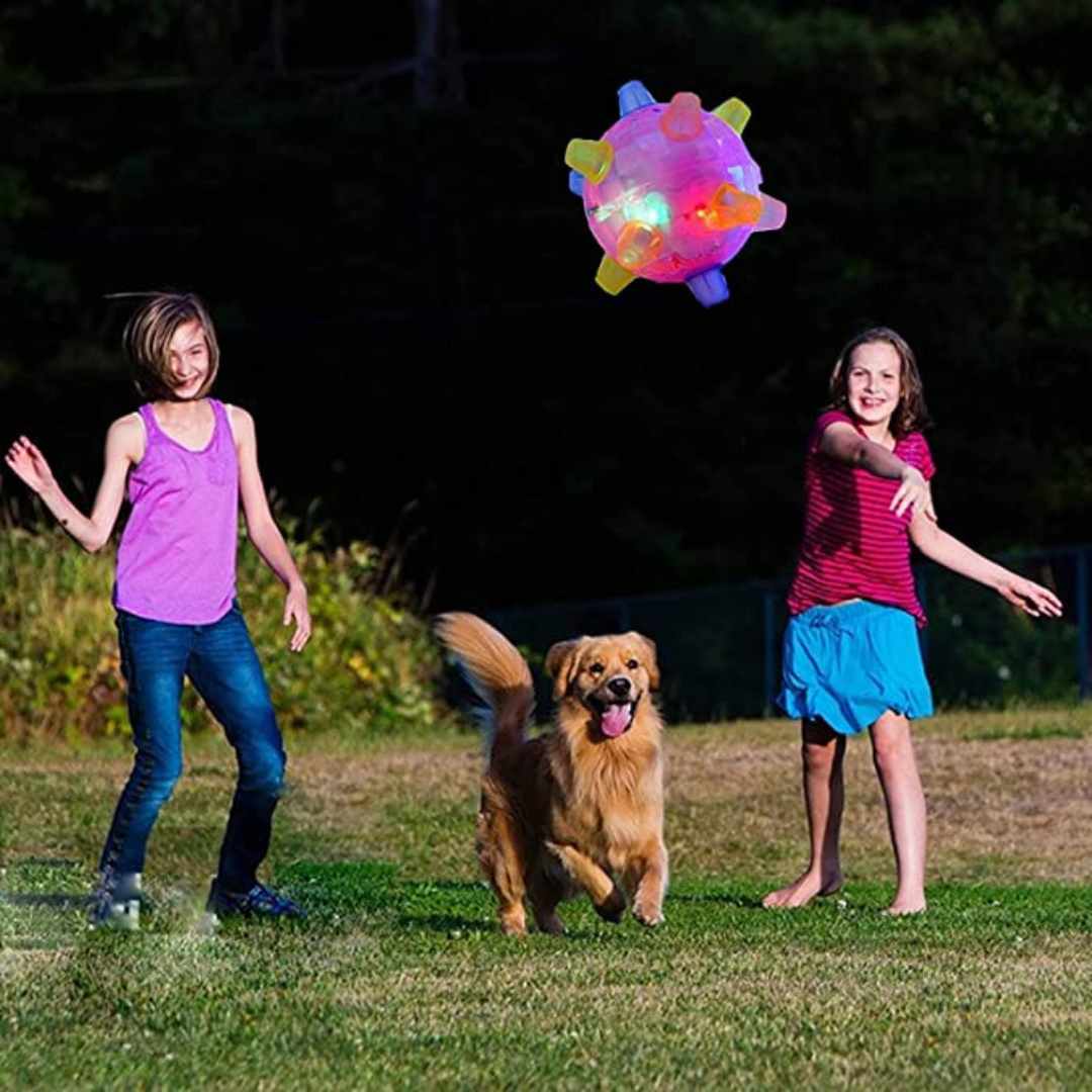 Jumping activation ball for dogs and cats