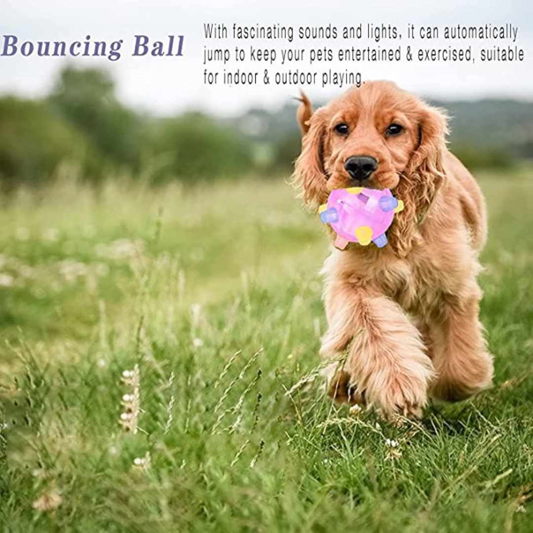 Jumping activation ball for dogs and cats