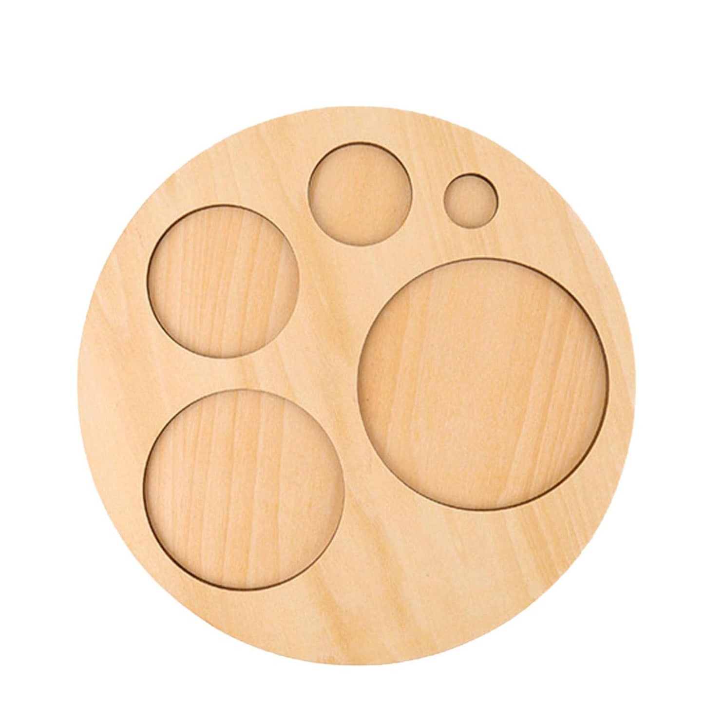 Wooden Circle Match Puzzle