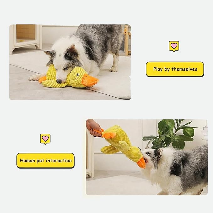 Interactive Duck Dog Toy