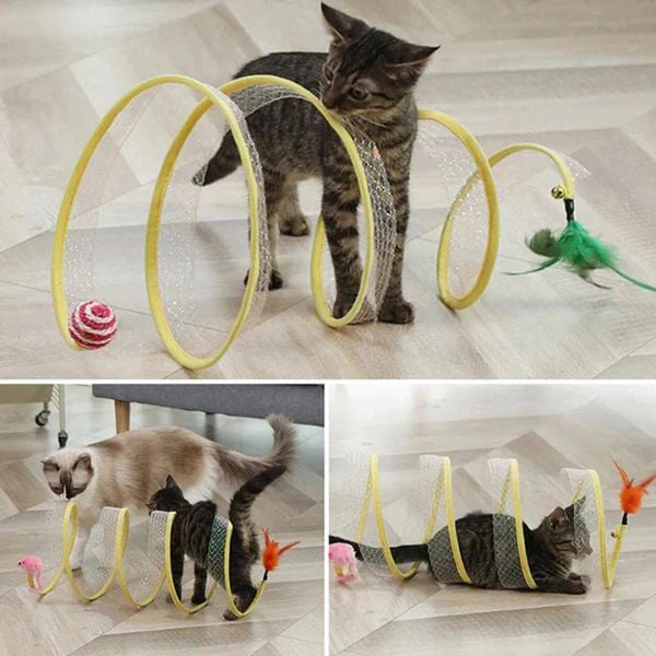 CAT TUNNEL