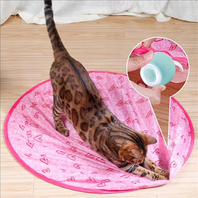 Moving Interactive Hunting Cat Ball