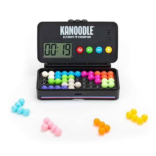 Kanoodle 3D Brain Teaser Puzzle