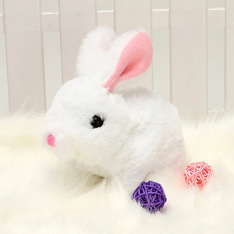 Chatter Bunny Toy