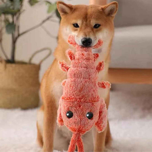 Introducing the Floppy Lobster Interactive Dog Toy