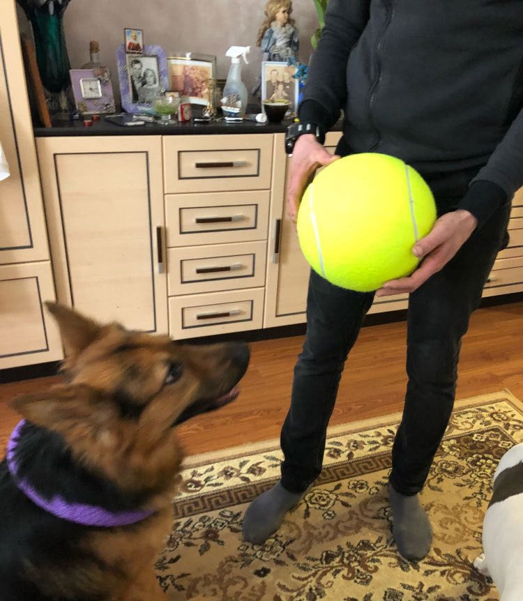 New Monster Tennis Ball