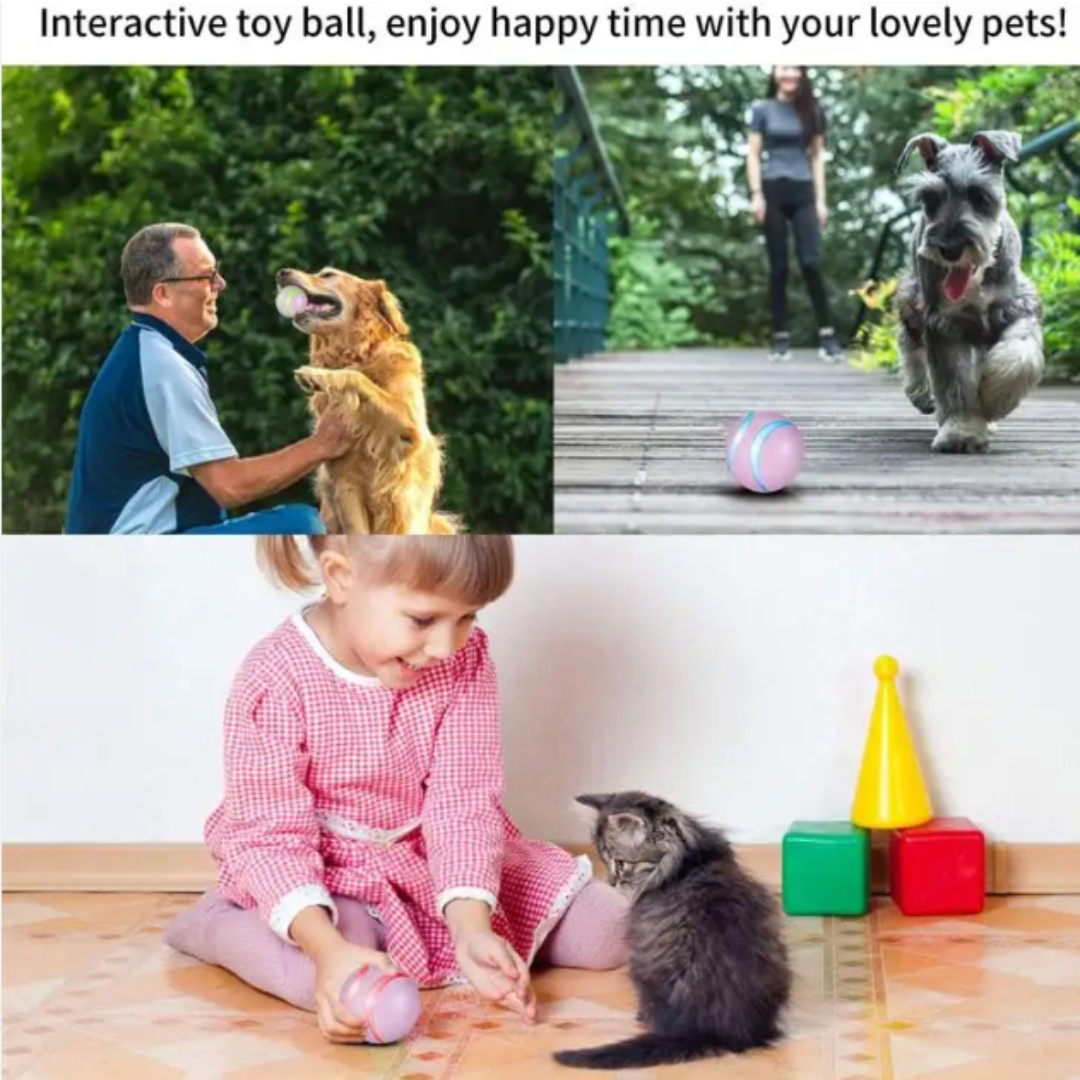 Interactive Self Moving Pet Toys For Bored Pets