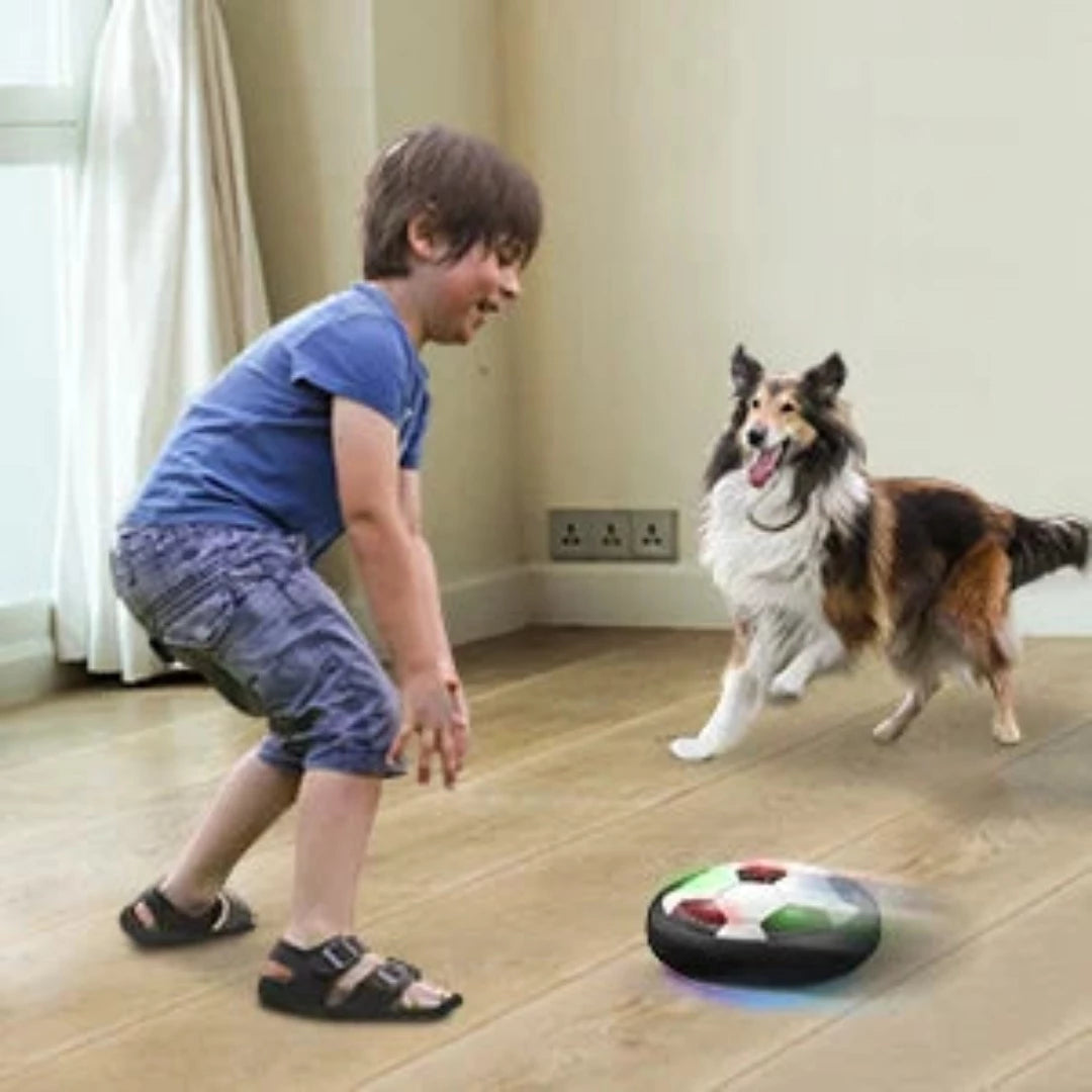 Saucer Ball Pet Toy