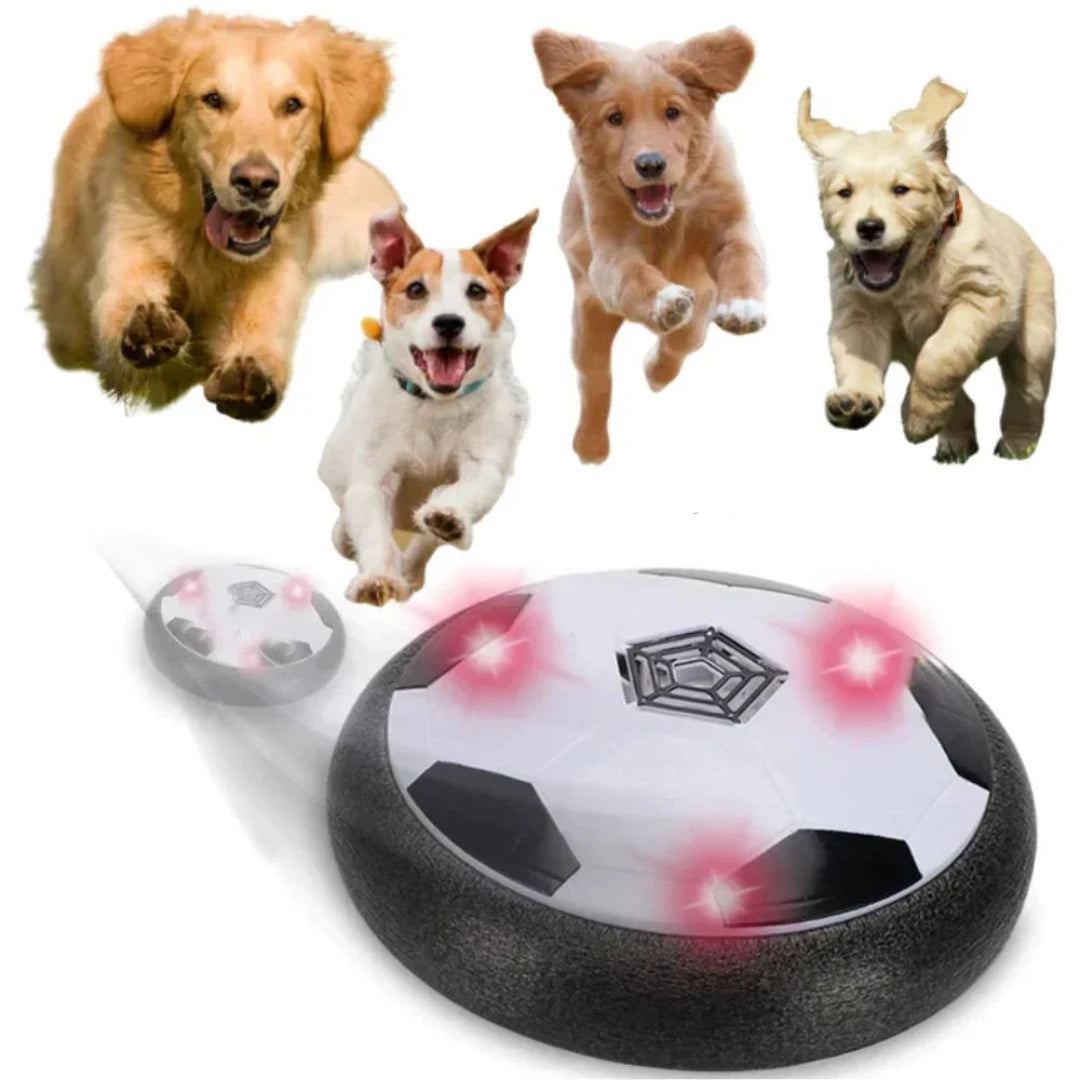 Saucer Ball Pet Toy