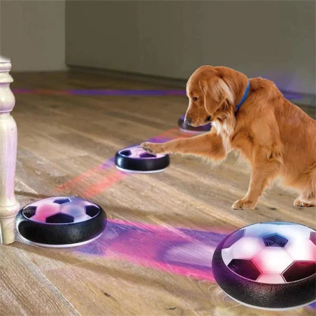 Saucer Ball Pet Toy