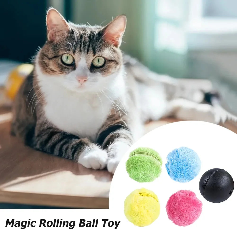 Joy Roll Interactive Ball