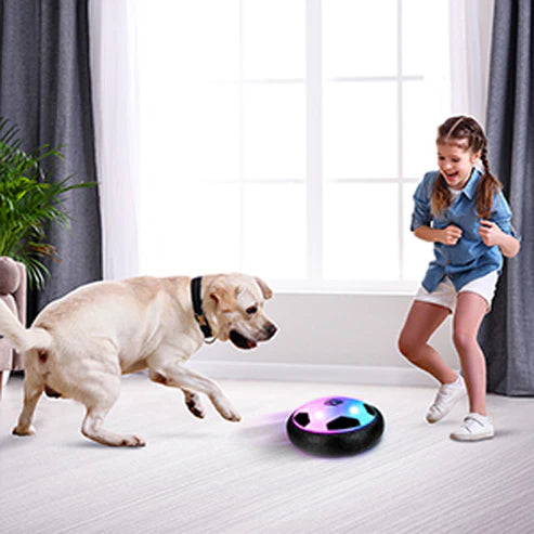 Saucer Ball Pet Toy