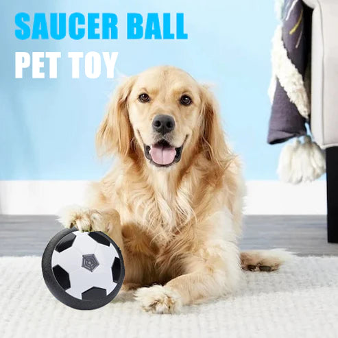 Saucer Ball Pet Toy