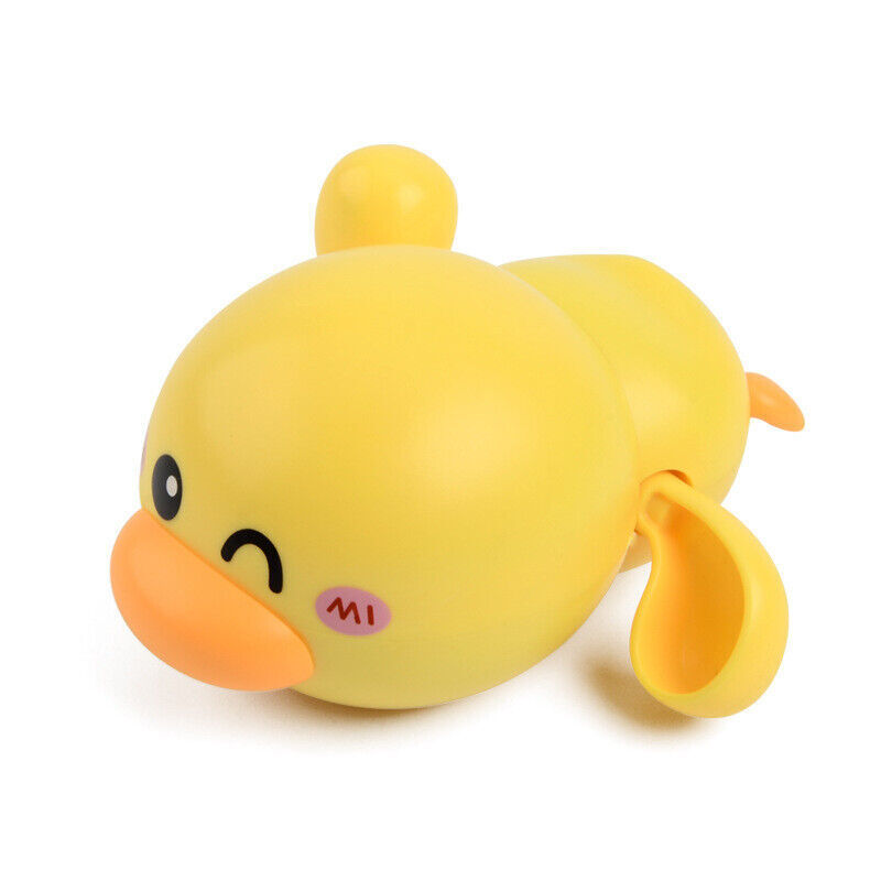 Sliding Duck Toy