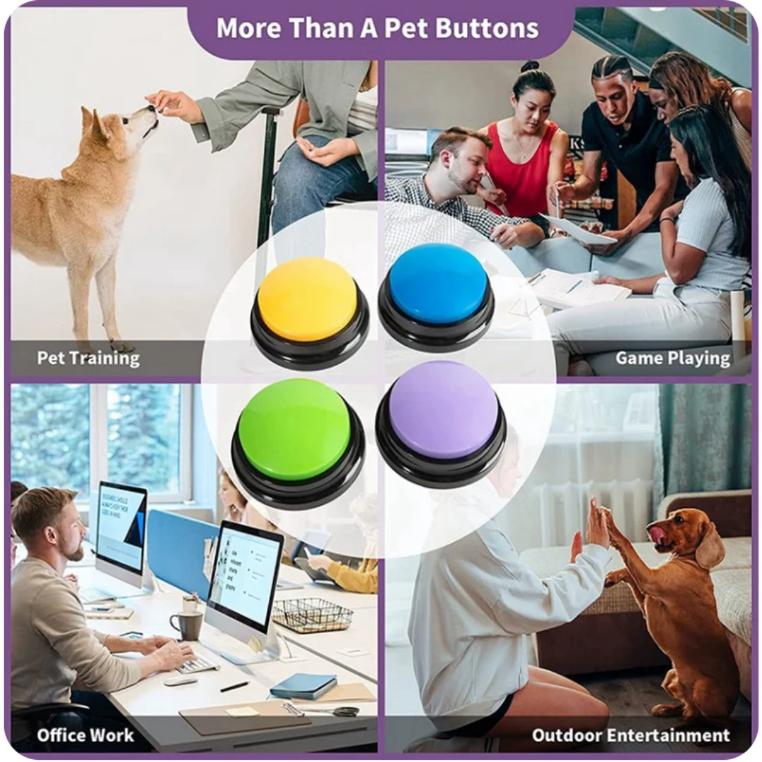 Pet Talk Training System