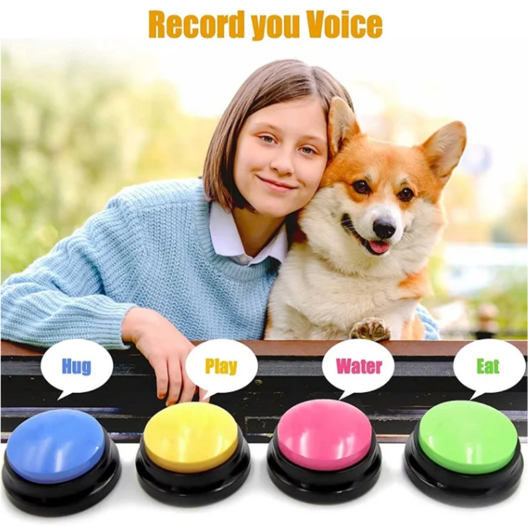 Pet Talk Training System