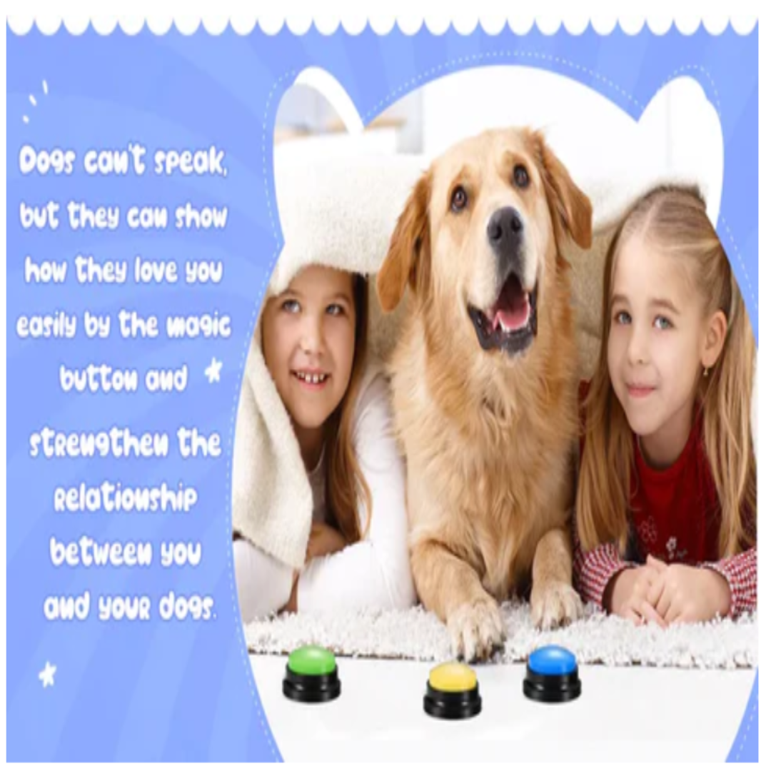 Pet Talk Training System